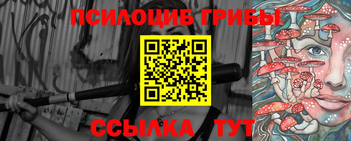 Псилоцибиновые грибы Psilocybine cubensis Омск